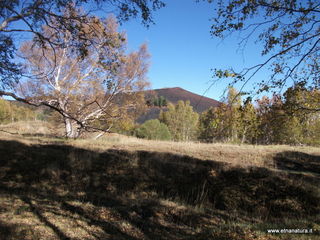 nti Sartorius-01-11-2012 09-43-05